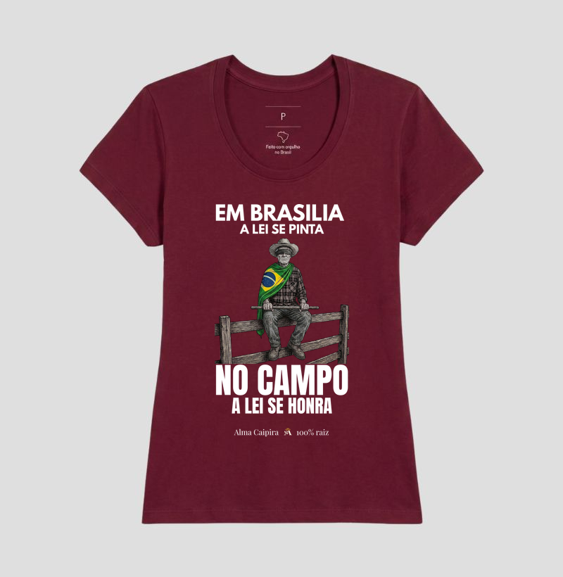 Em Brasília a lei se pinta, no Campo a lei se honra - Imagem 19
