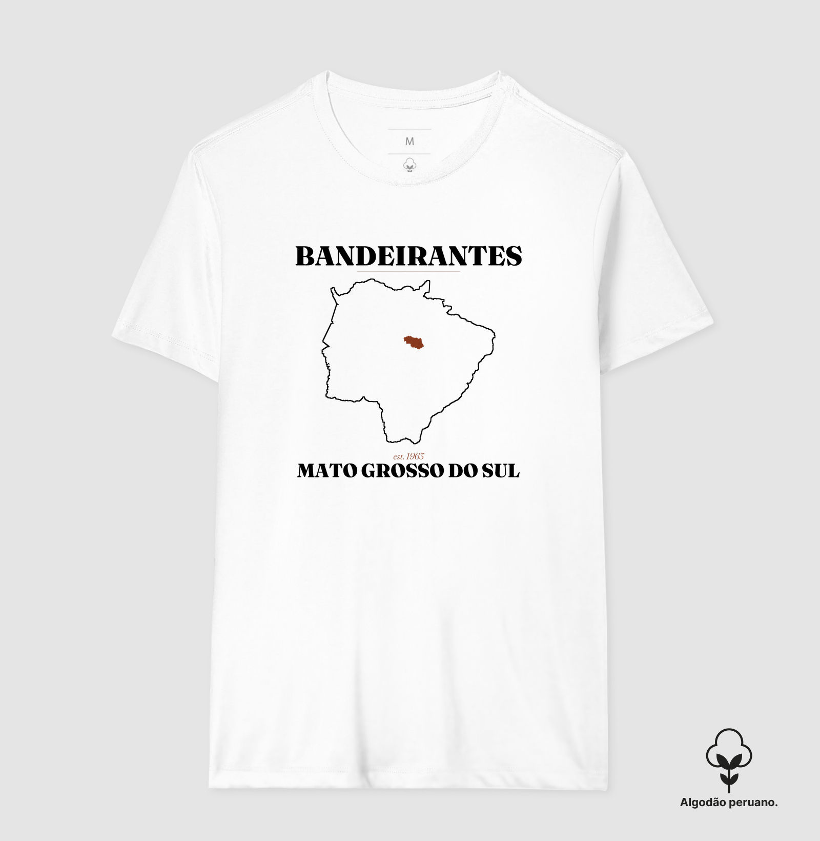 Bandeirantes | Legado MS - Imagem 7