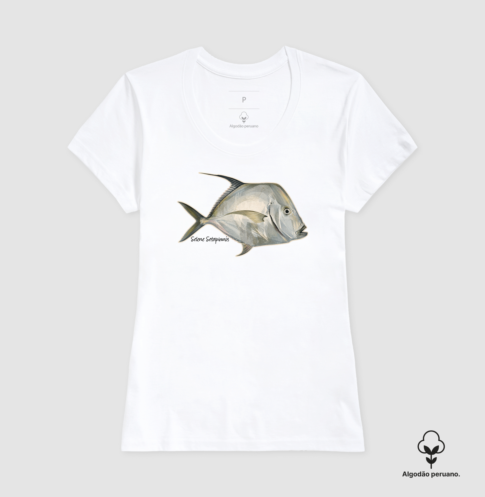 Peixe-Galo - Imagem 2