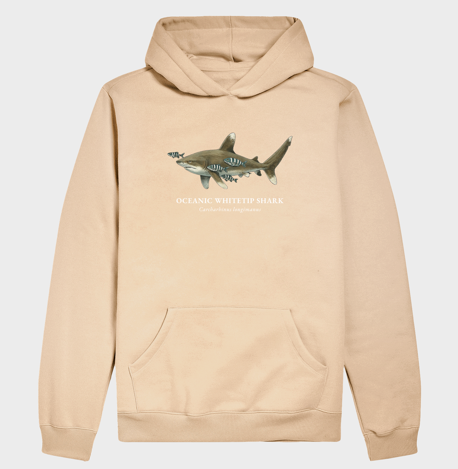 Oceanic Whitetip Shark - Imagem 7