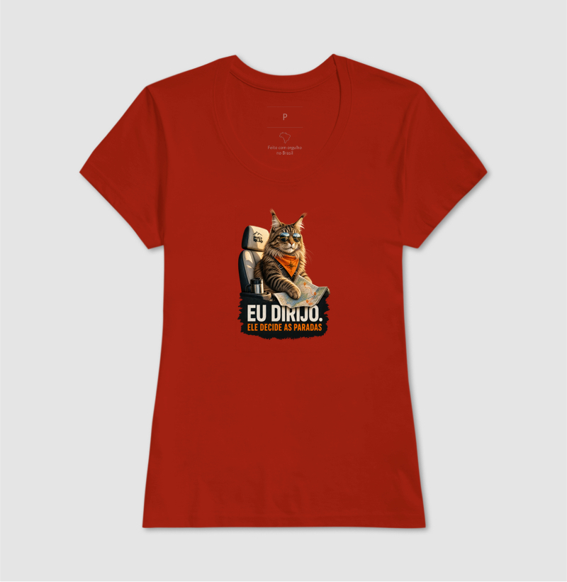 Eu Dirijo. Ele Decide as Paradas — Maine Coon - Imagem 9