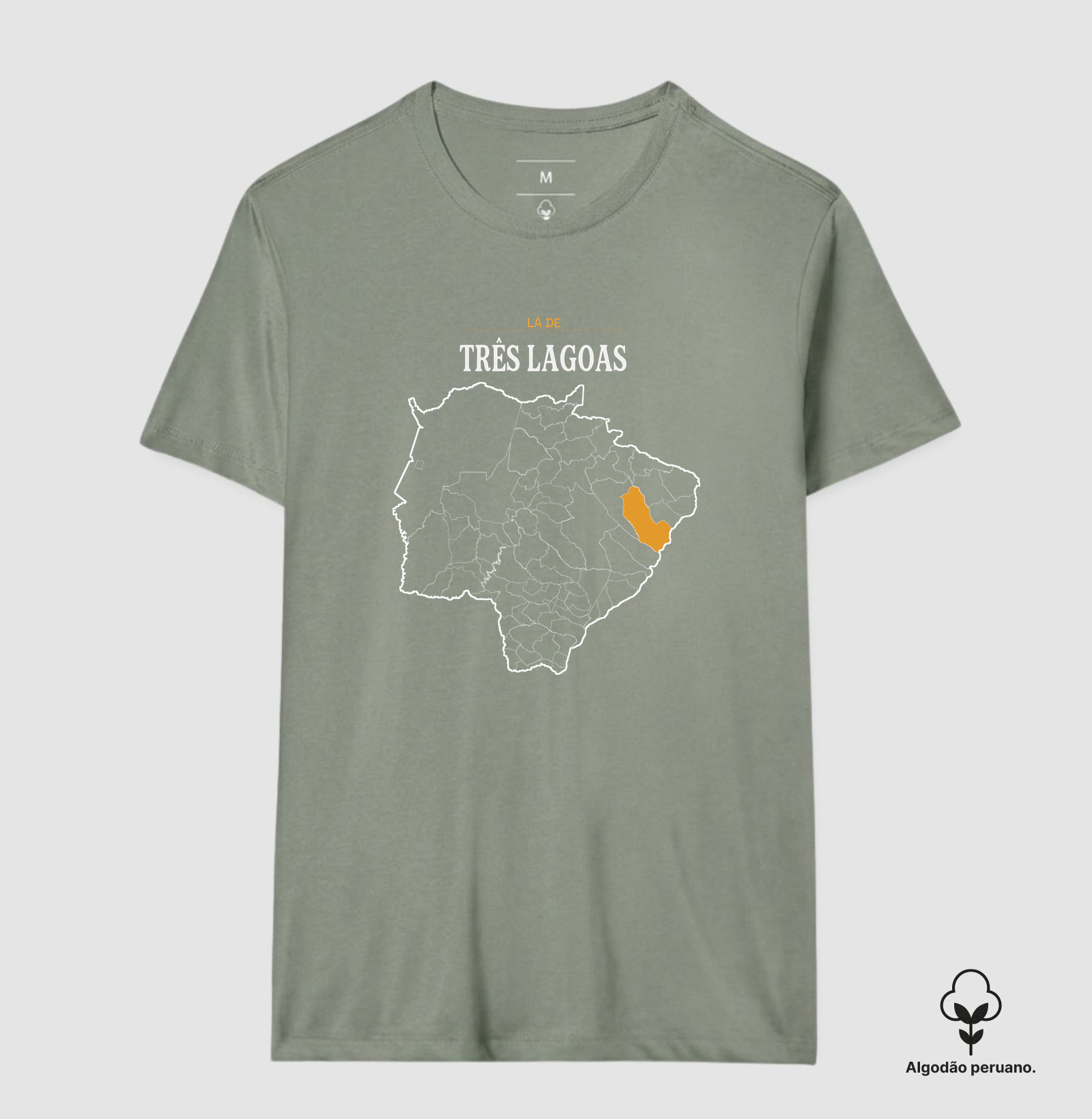Três Lagoas | Território MS - Imagem 5