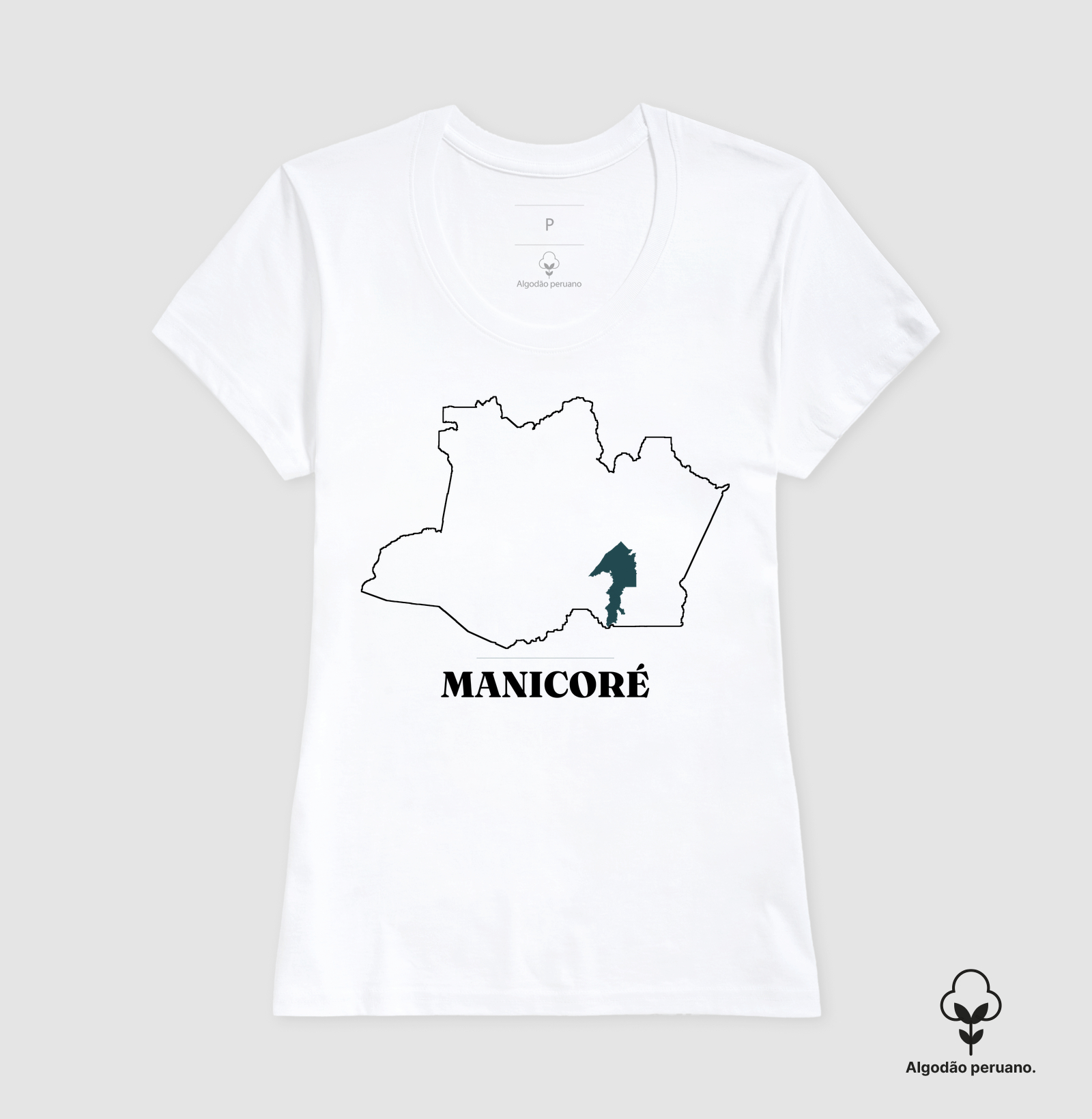 Manicoré | Traço AM - Imagem 3