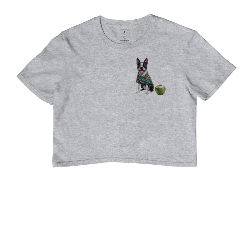 Boston Terrier - Férias - Imagem 6