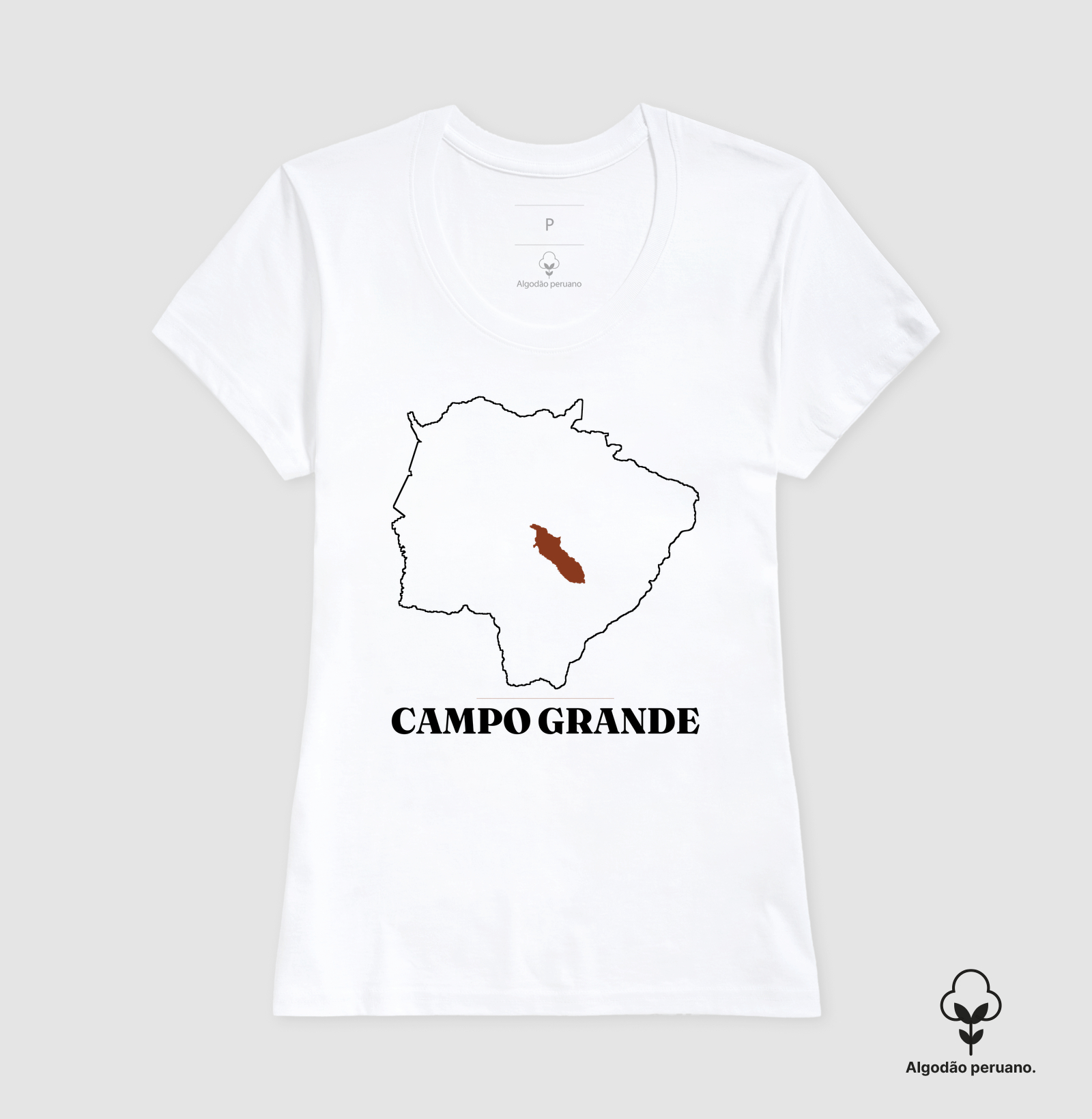 Campo Grande | Traço MS - Imagem 6