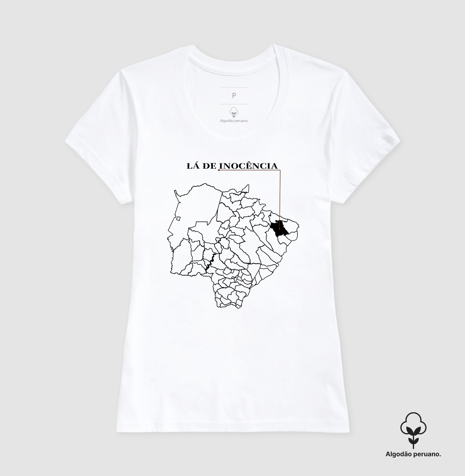 Inocência | Origem MS - Imagem 7