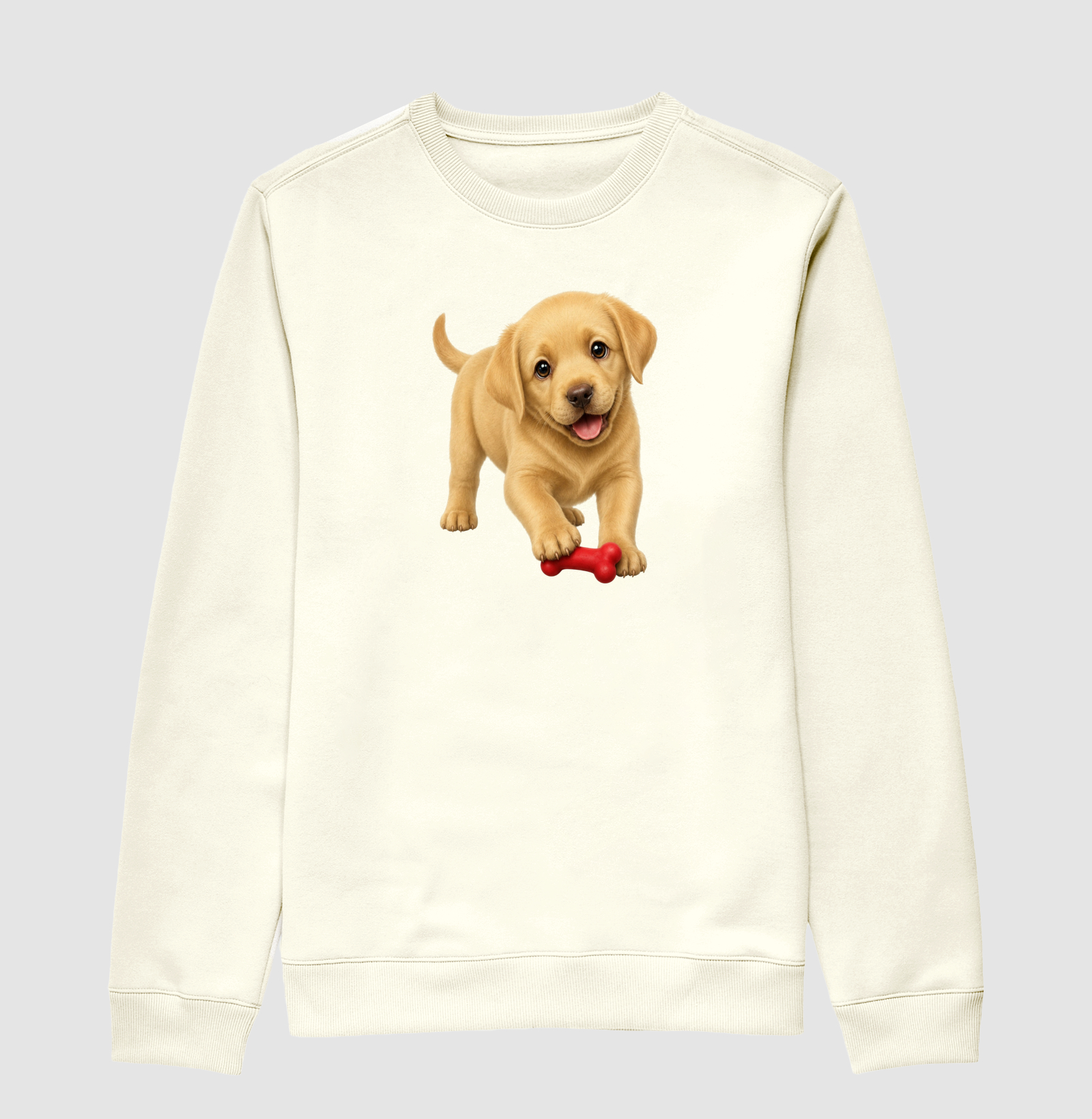 Labrador - Desenho Animado - Imagem 2