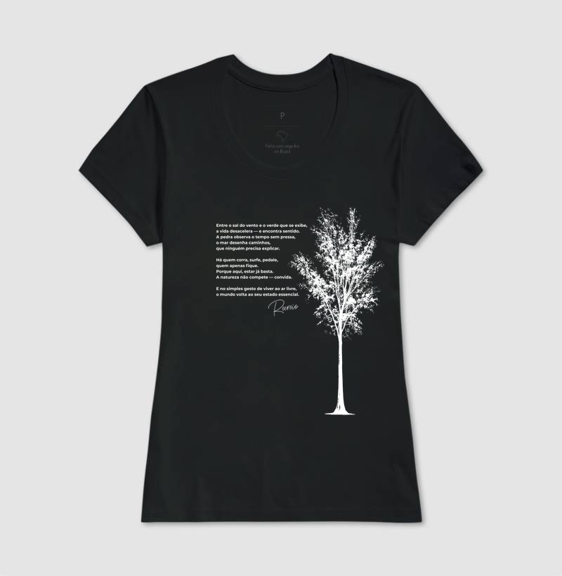 Casuarina - Imagem 3