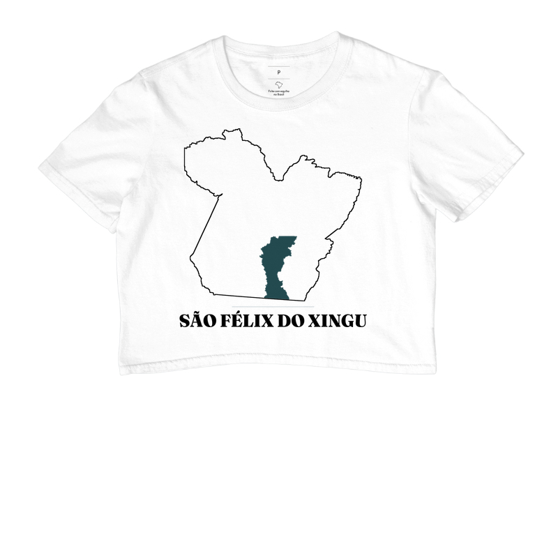 São Félix do Xingu | Traço PA - Imagem 3