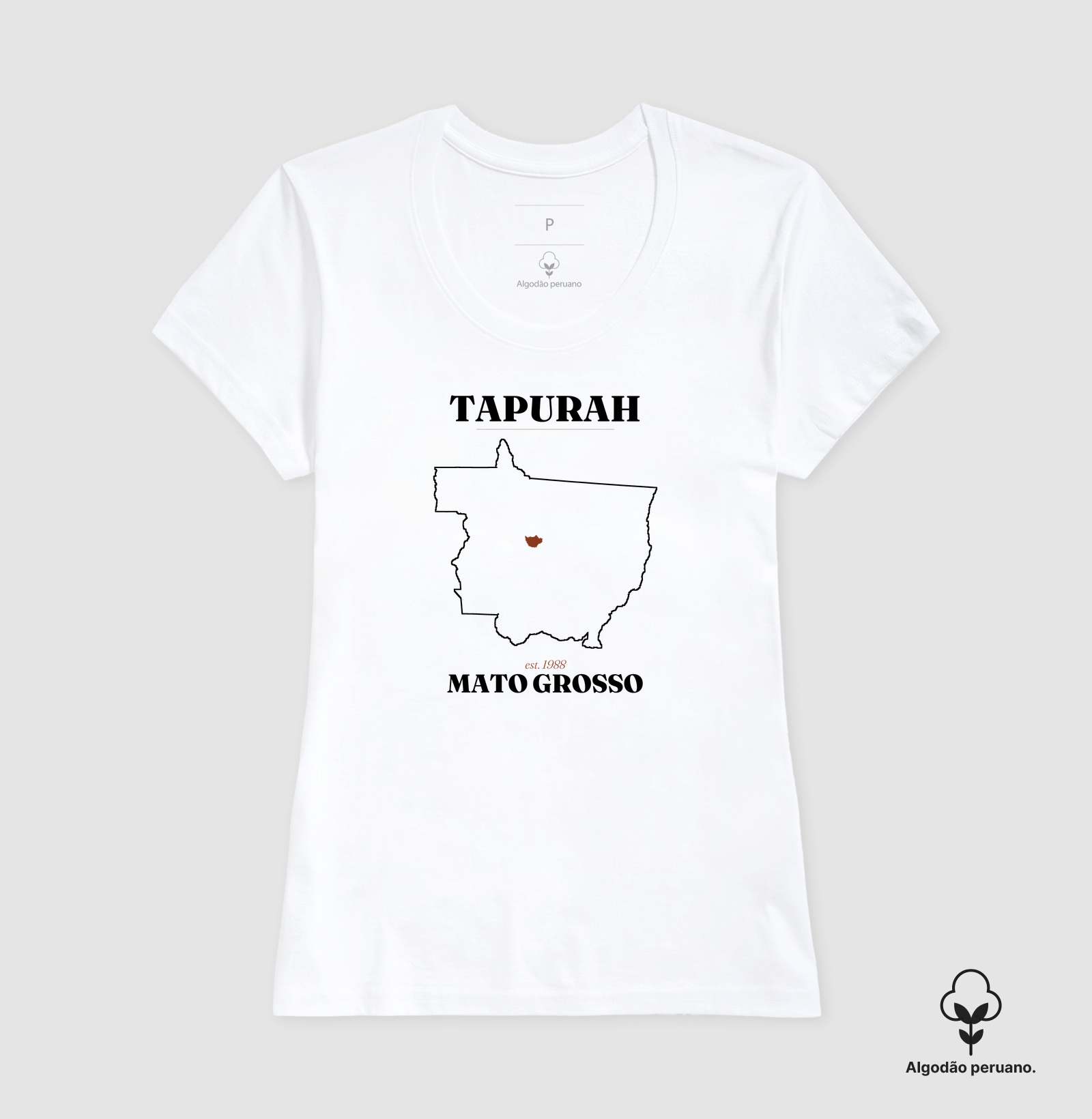 Tapurah | Legado MT - Imagem 5