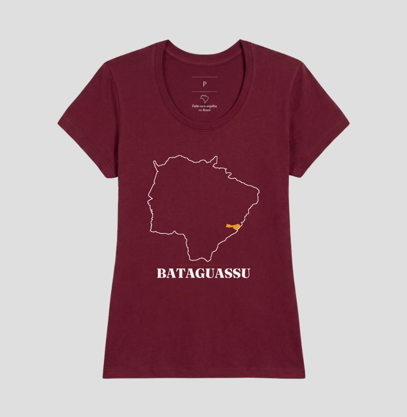Bataguassu | Traço MS - Imagem 19