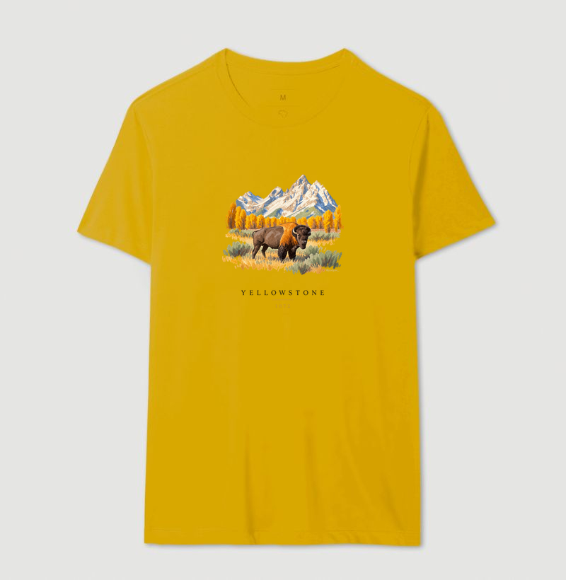 Bison - Yellowstone - Imagem 14