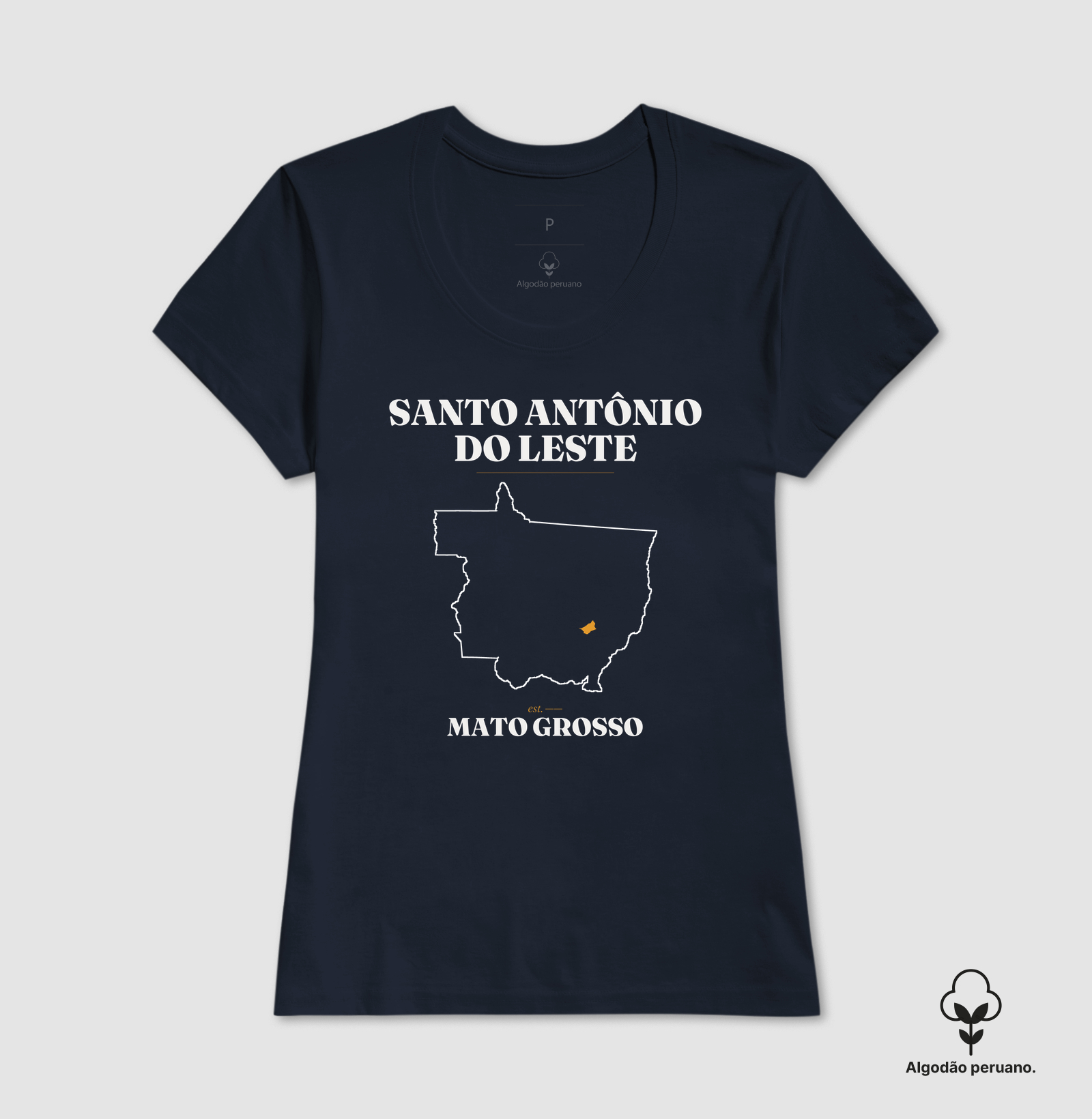 Santo Antônio do Leste | Legado MT - Imagem 4