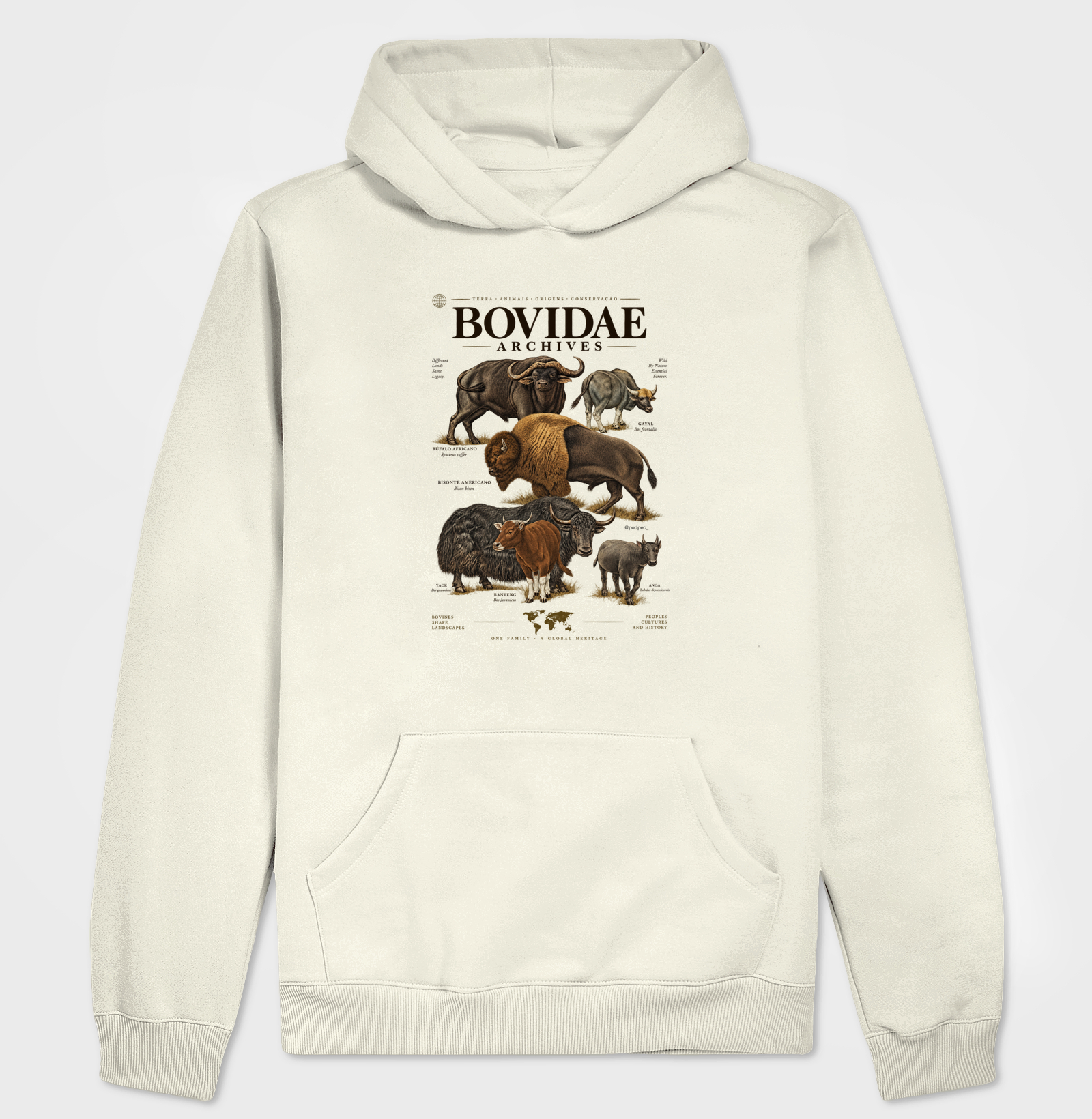 Bovidae Archives - Imagem 3