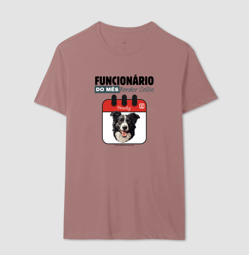 Border Collie - Imagem 12