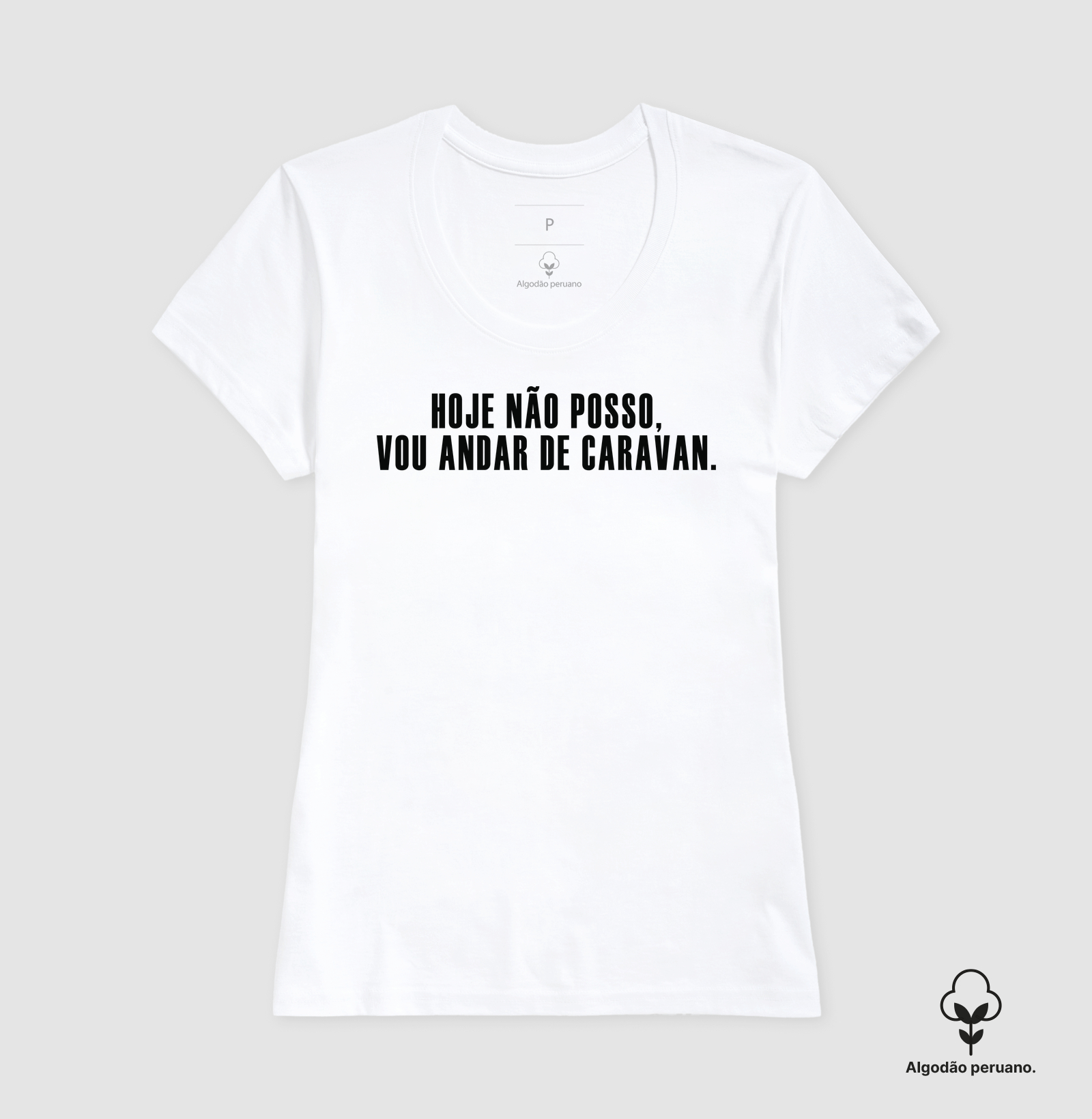 Vou andar de Caravan - Imagem 6