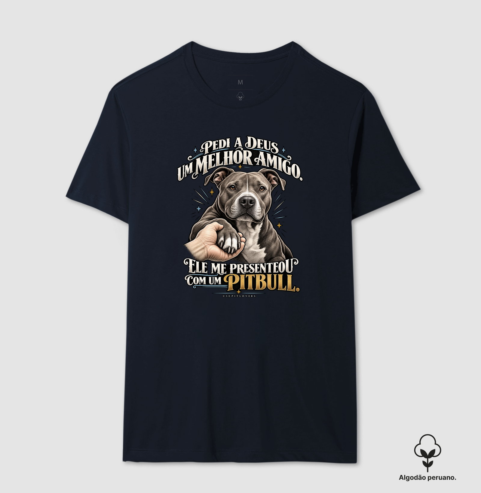 PEDI A DEUS UM MELHOR AMIGO E ELE ME PRESENTEOU COM UM PITBULL. - Imagem 2