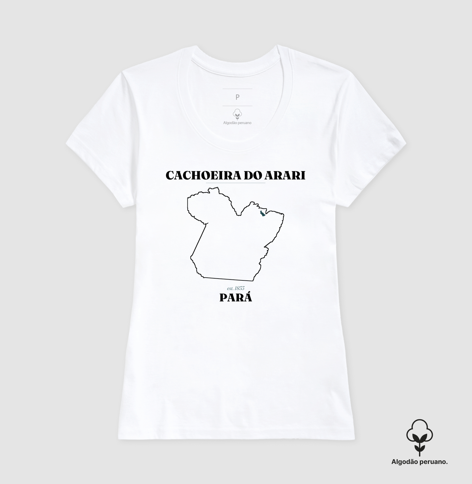 Cachoeira do Arari | Legado PA - Imagem 2