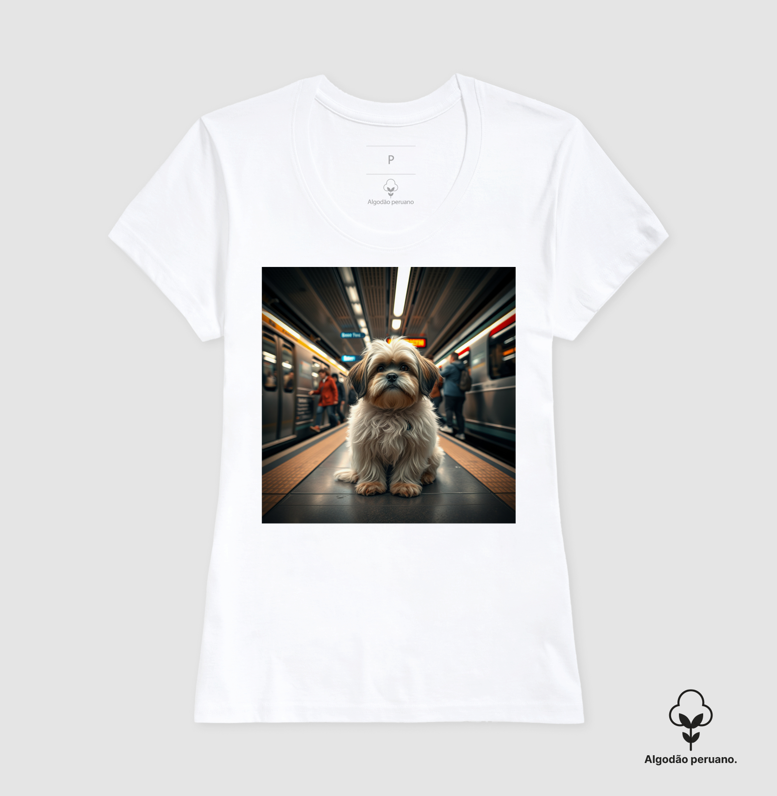 Camisa 6