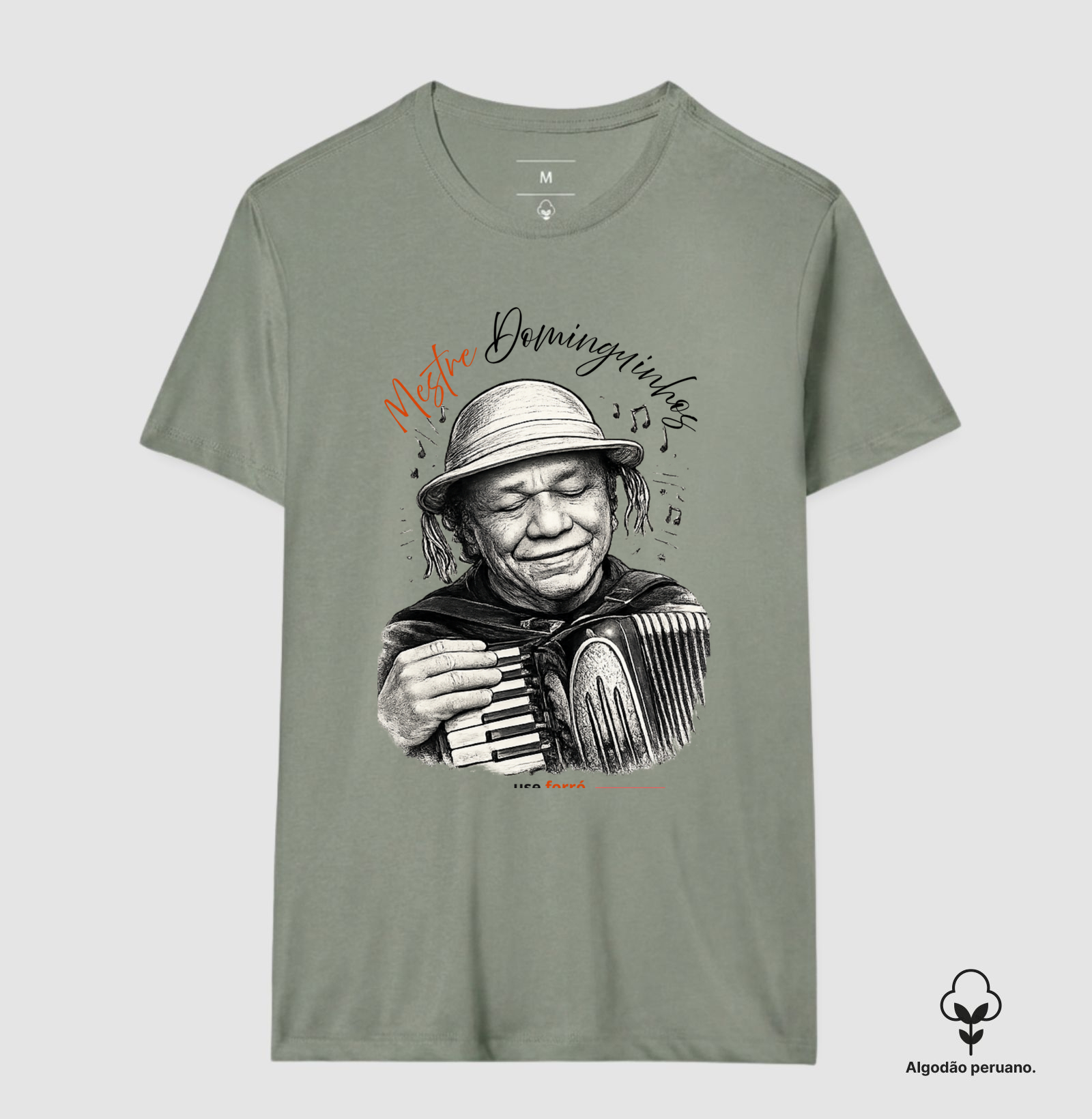 Mestre Dominguinhos - Imagem 4