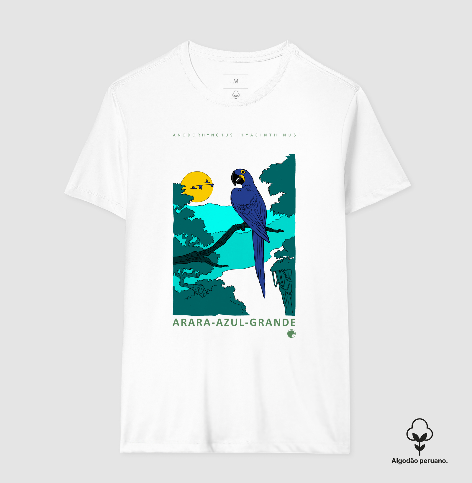 Arara-azul-grande - Imagem 10