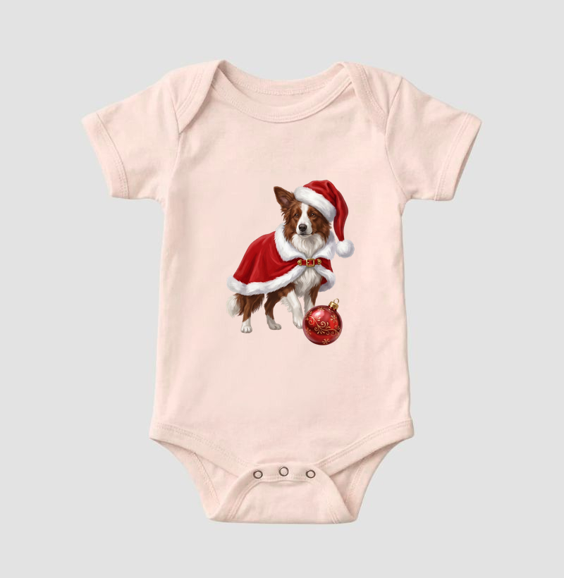 Border Collie Claro - Natal - Imagem 5