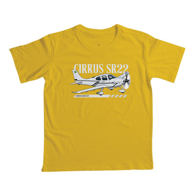Cirrus SR22 G7+ - Imagem 6