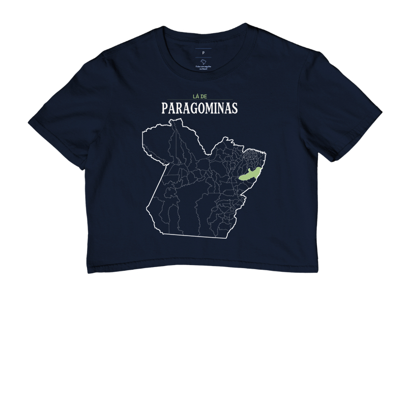 Paragominas | Território PA - Imagem 4
