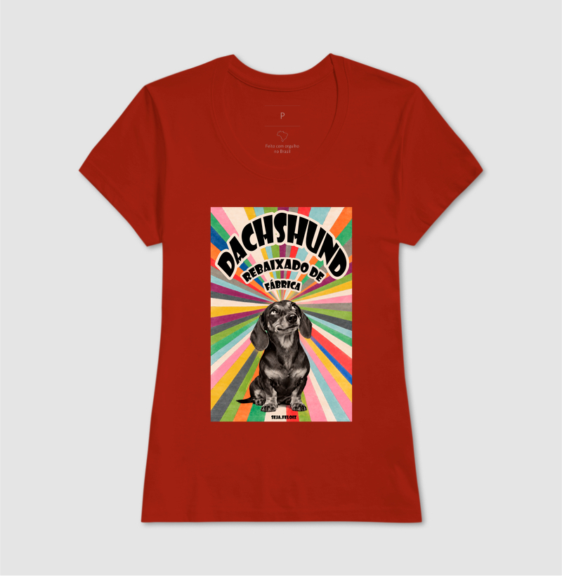Dachshund Rebaixado de Fábrica  - Imagem 9