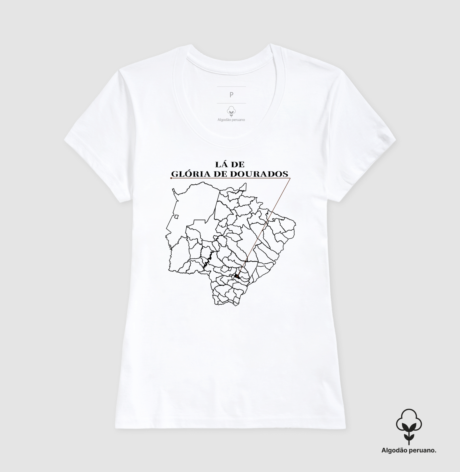 Glória de Dourados | Origem MS - Imagem 2