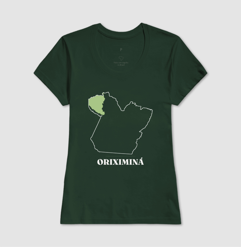 Oriximiná | Traço PA - Imagem 13
