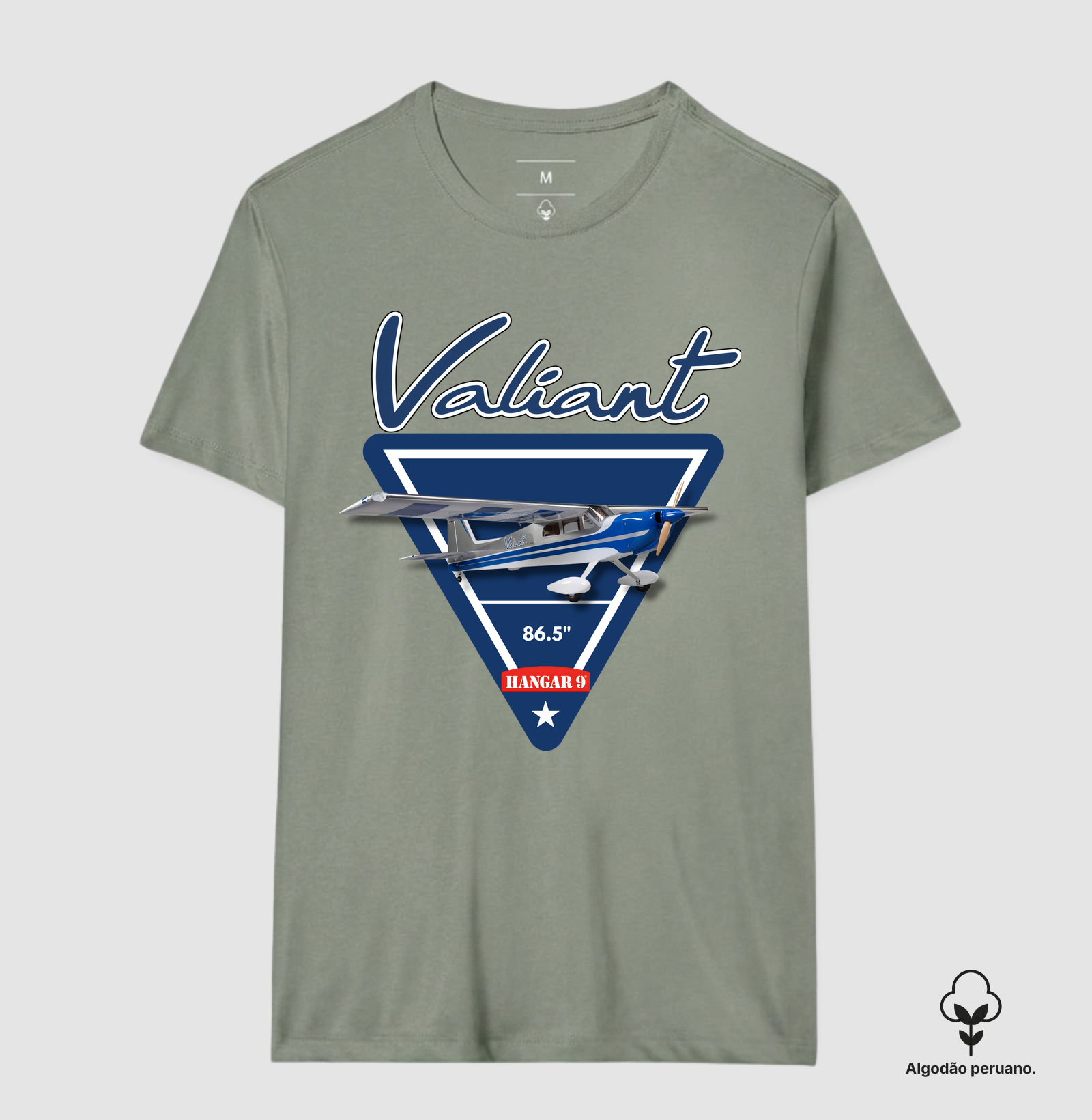 Valiant 20cc - Imagem 9