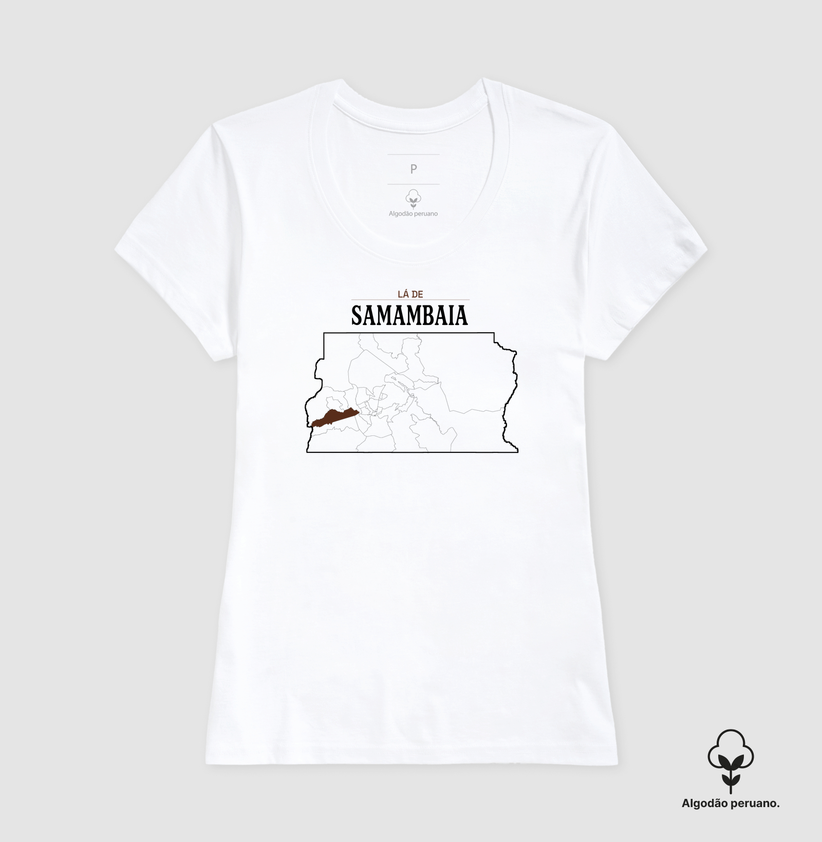 Samambaia | Território DF - Imagem 7
