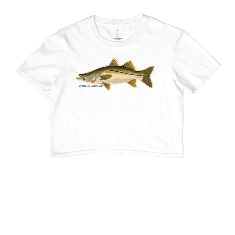 Robalo - Imagem 3