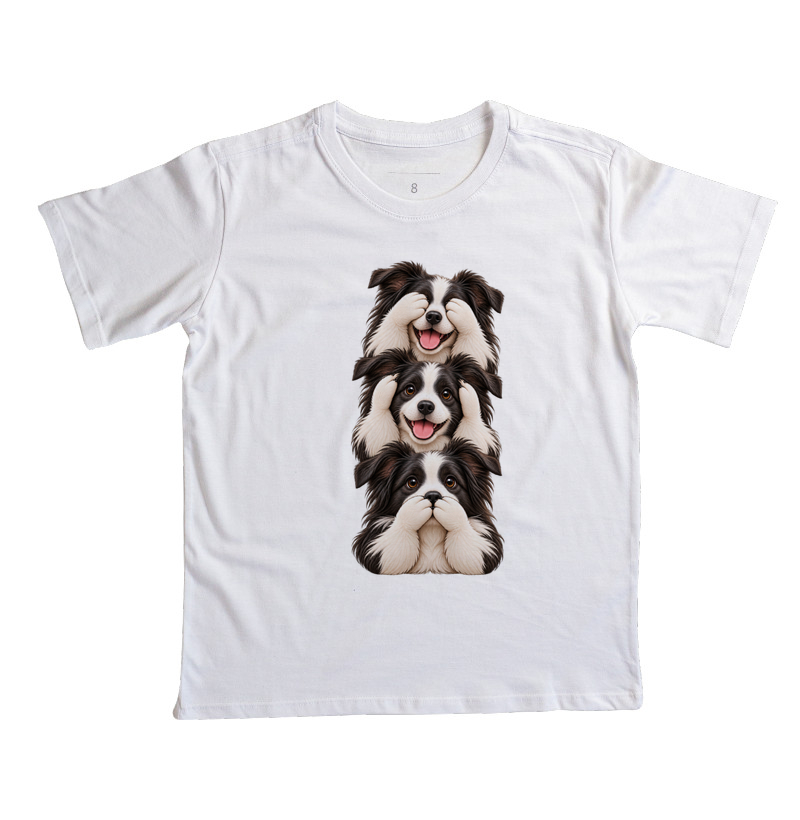 Ver, ouvir e falar Border Collie - Imagem 3