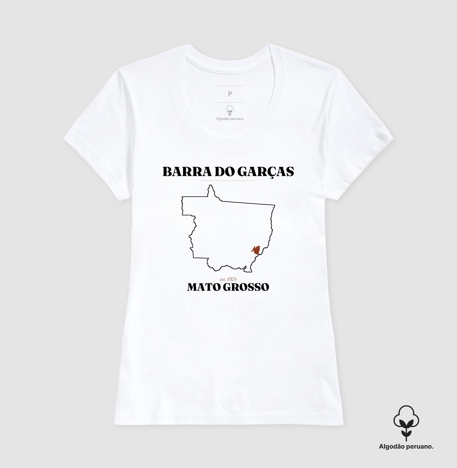 Barra do Garças | Legado MT - Imagem 8