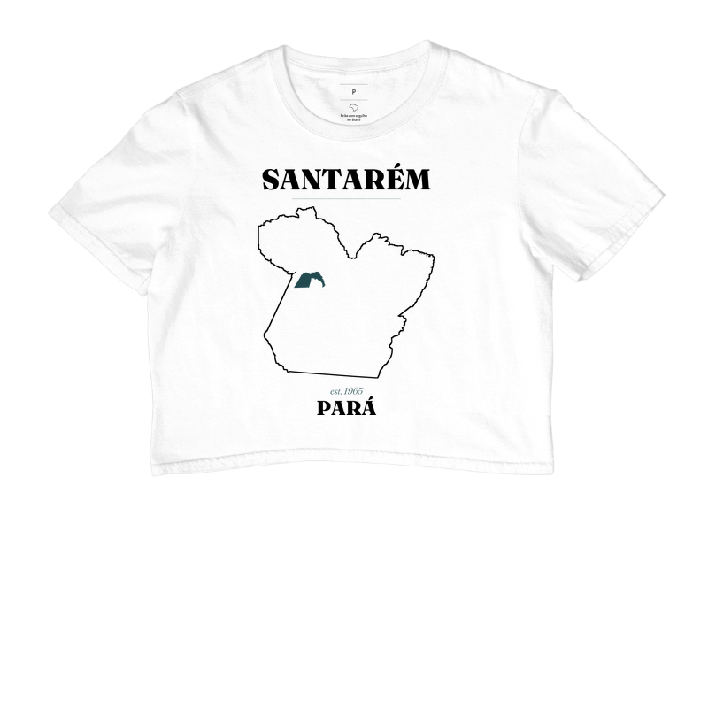Santarém | Legado PA - Imagem 3