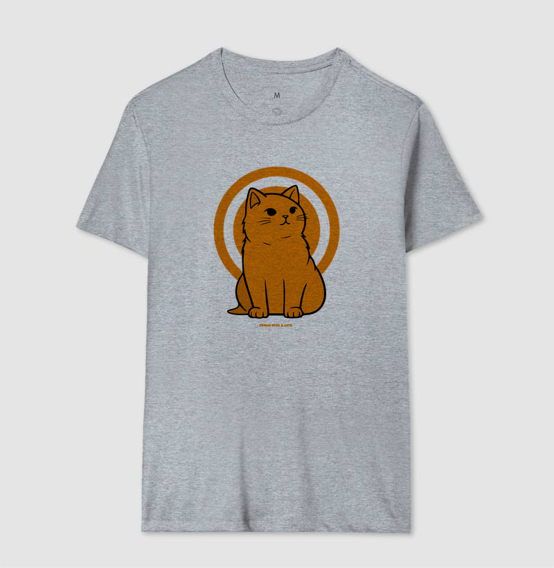 Gato laranja - Imagem 7
