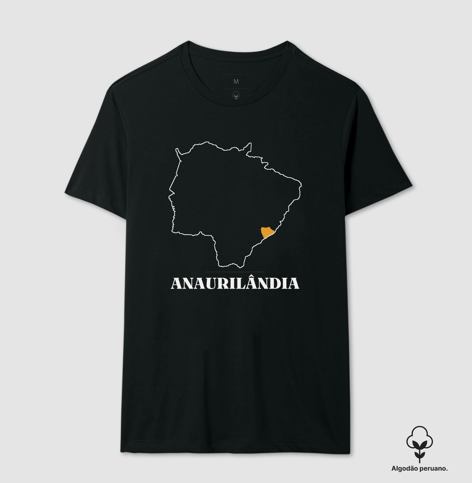 Anaurilândia | Traço MS - Imagem 2