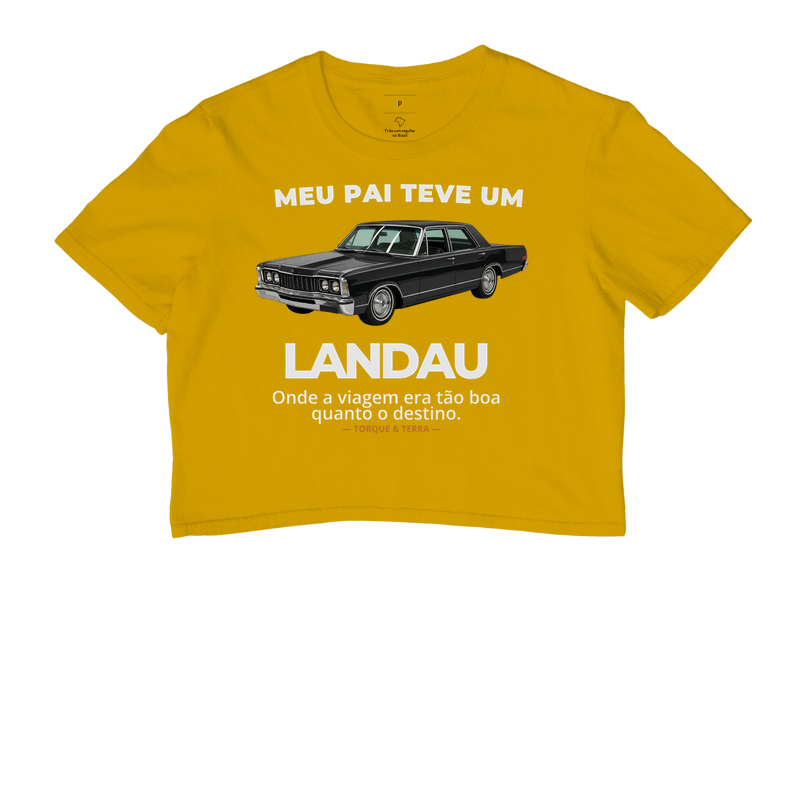 Meu pai teve um - LANDAU - Imagem 8