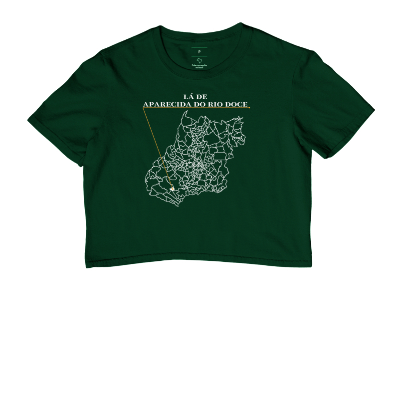 Aparecida do Rio Doce | Origem GO - Imagem 5