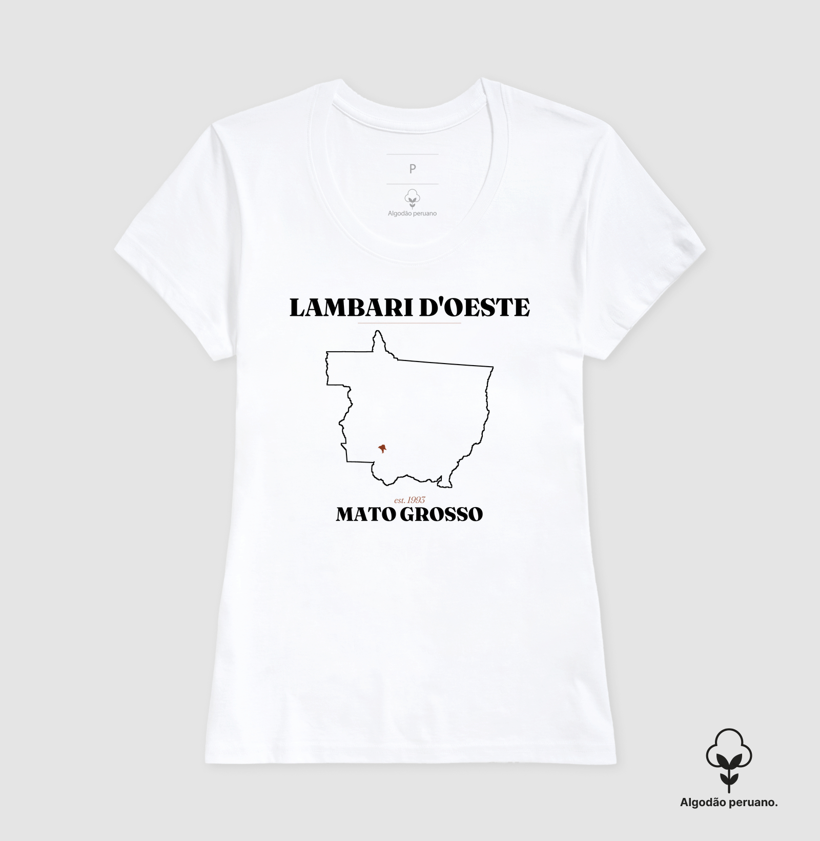 Lambari D'Oeste | Legado MT - Imagem 5