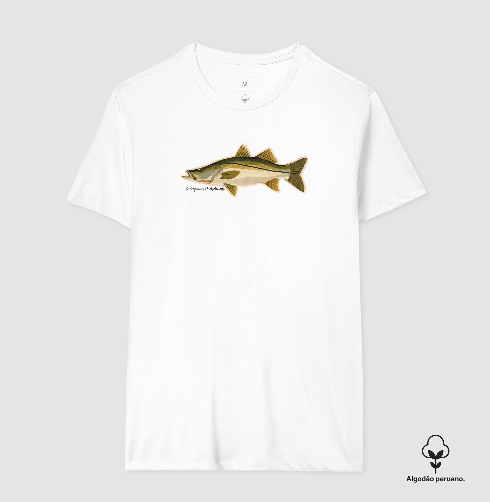 Robalo - Imagem 6