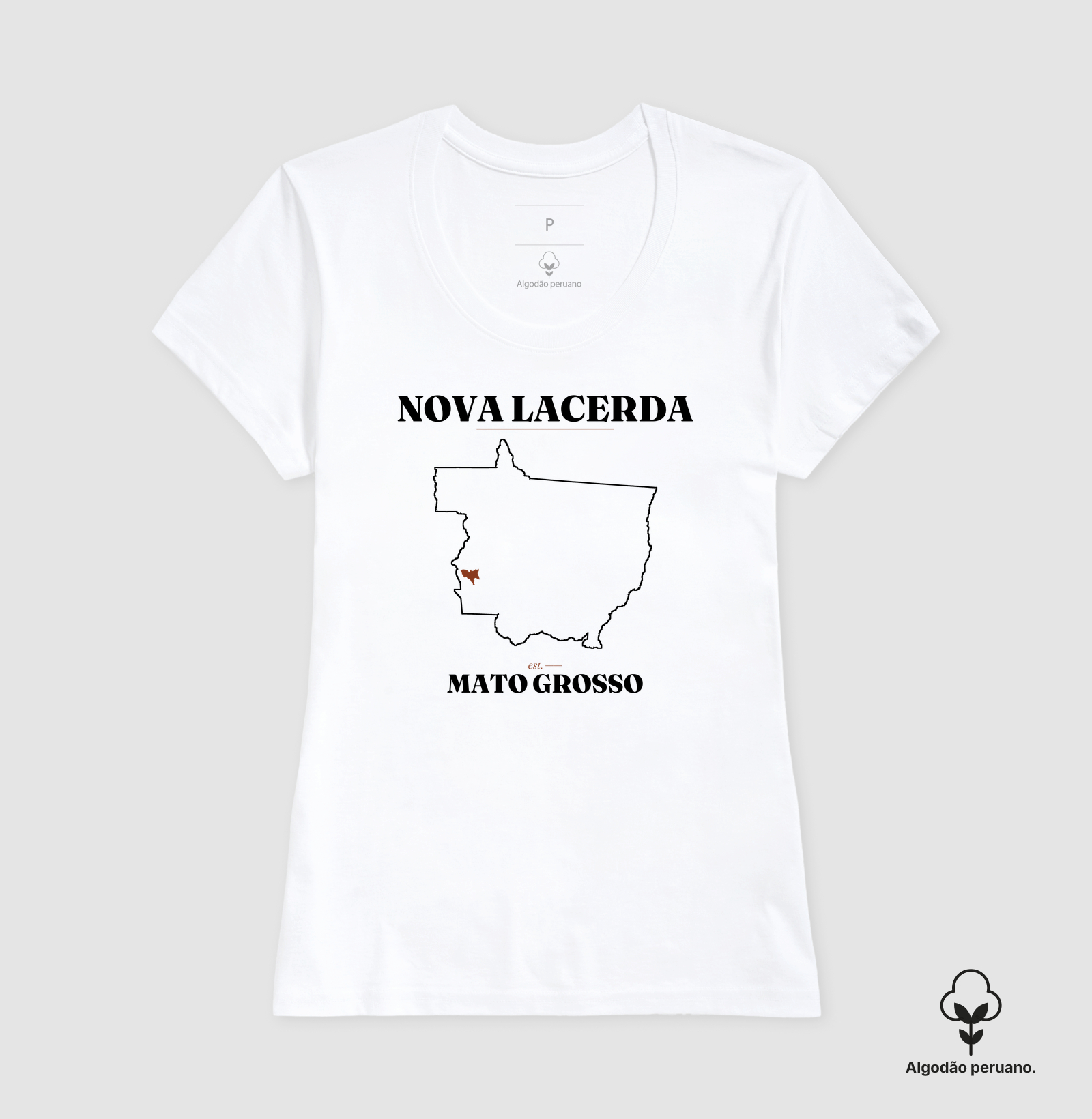 Nova Lacerda | Legado MT - Imagem 3