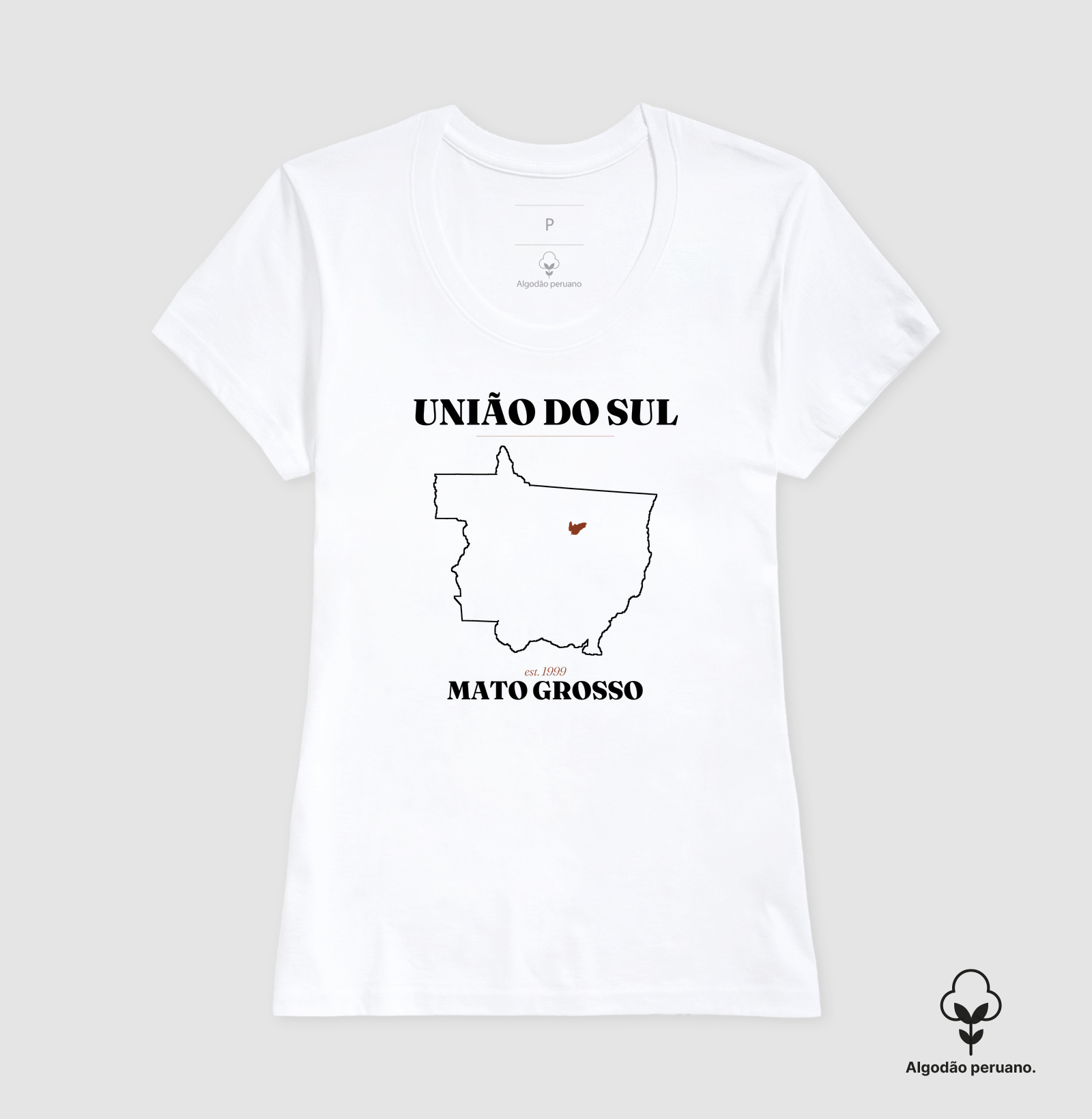 União do Sul | Legado MT - Imagem 5