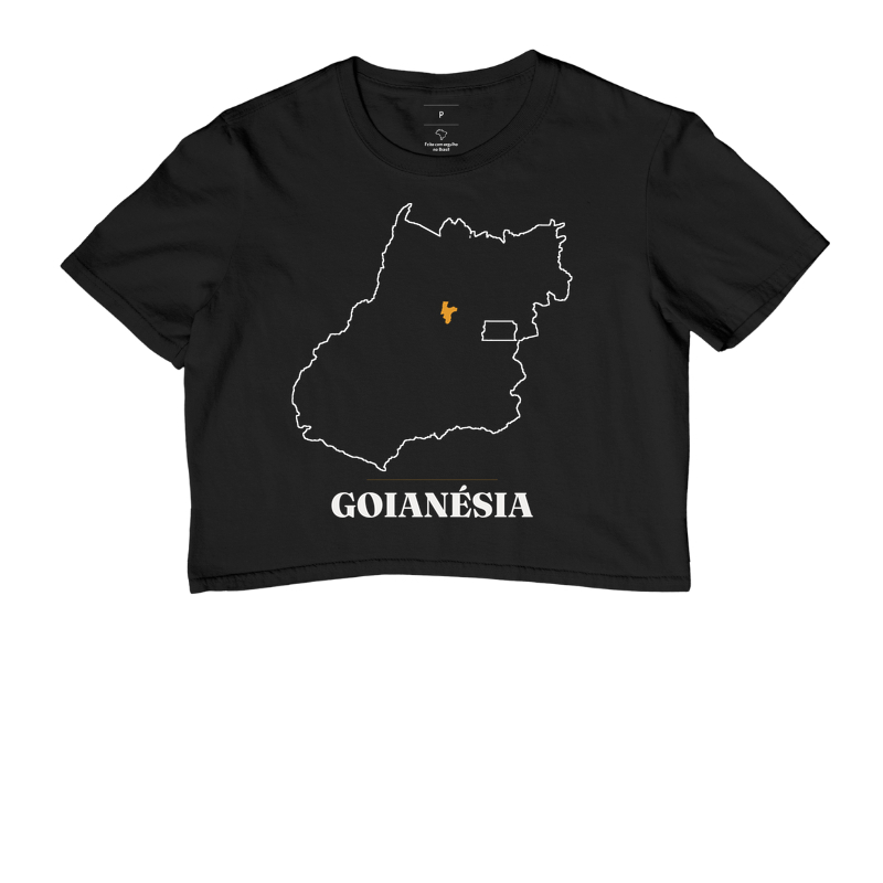Goianésia | Traço GO - Imagem 2