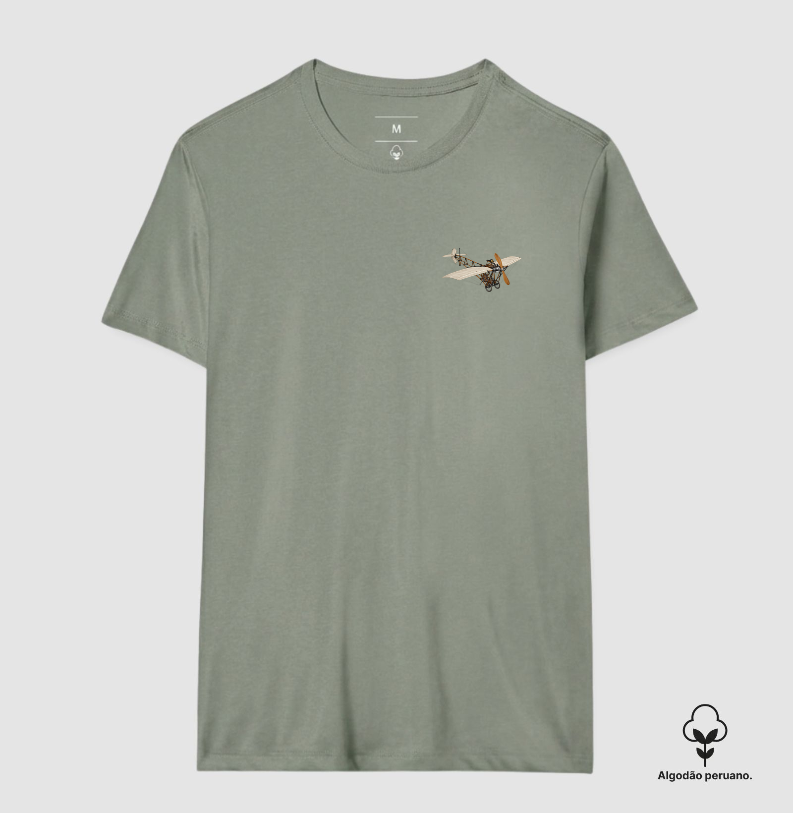 Santos-Dumont Demoiselle - Imagem 9
