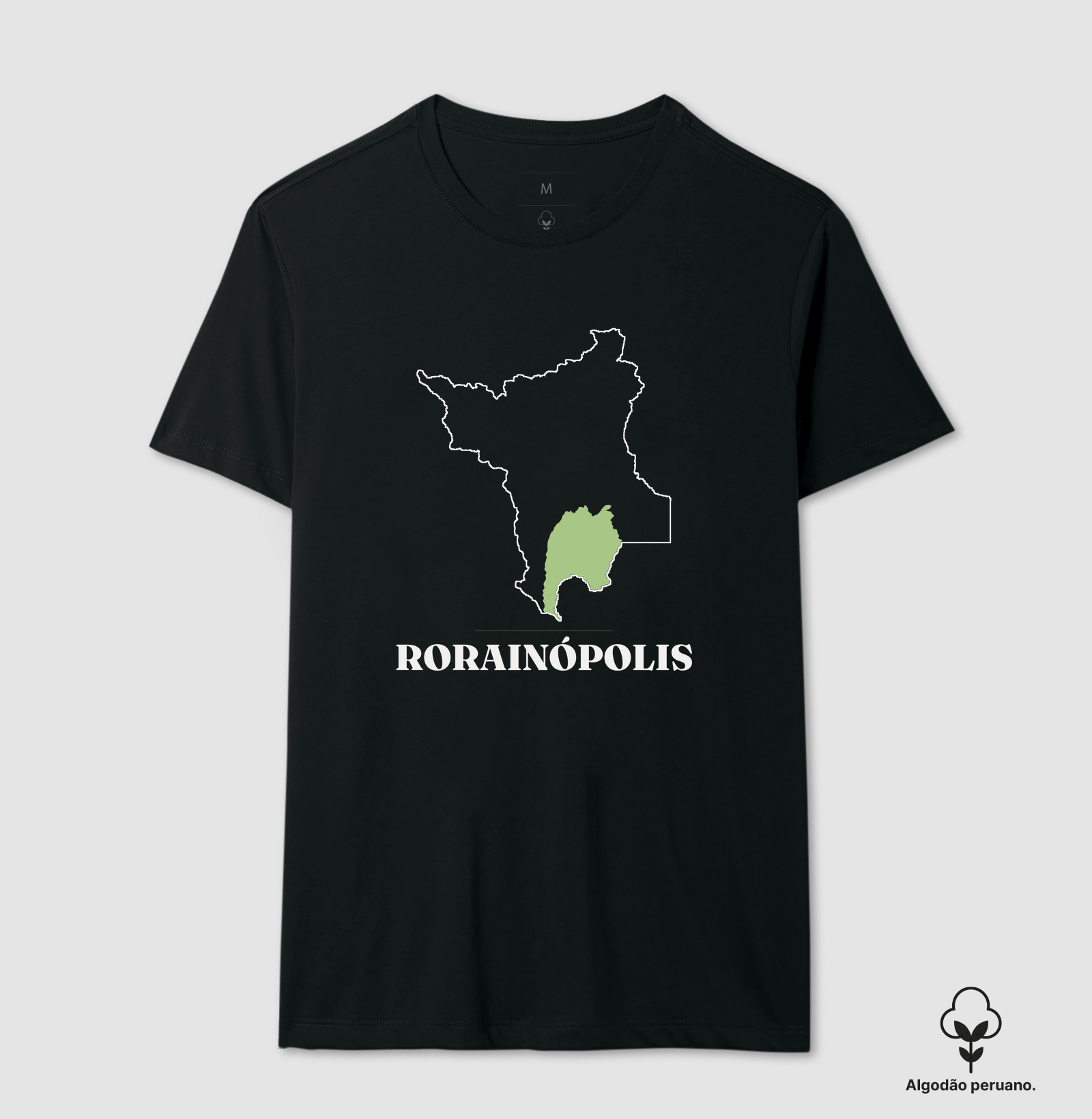 Rorainópolis | Traço RR - Imagem 5