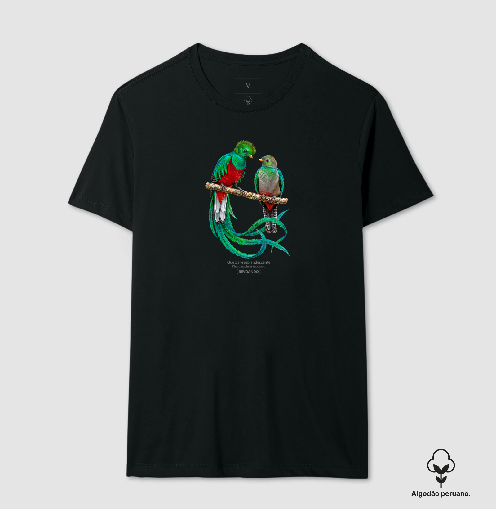Traços Alados - Quetzal-resplandescente - Algodão Peruano - Imagem 5