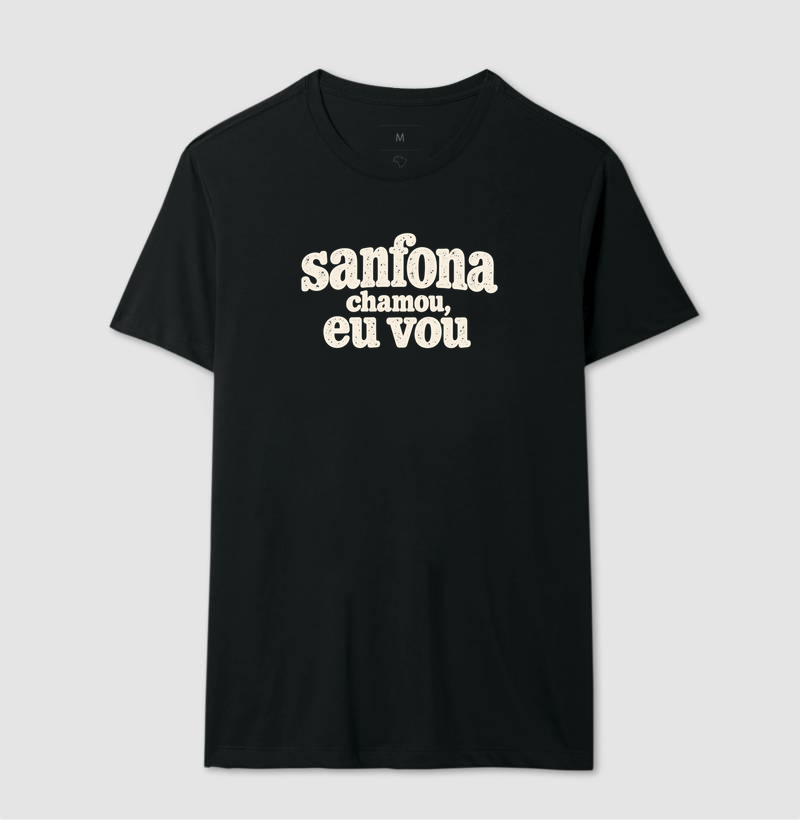 Sanfona chamou, eu vou - Imagem 2